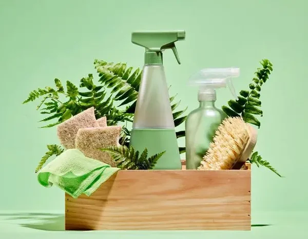 Limpieza con productos ecológicos: ¿por qué elegirlos?