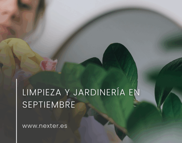 Limpieza y jardinería en septiembre: prepara tu hogar y jardín para el otoño