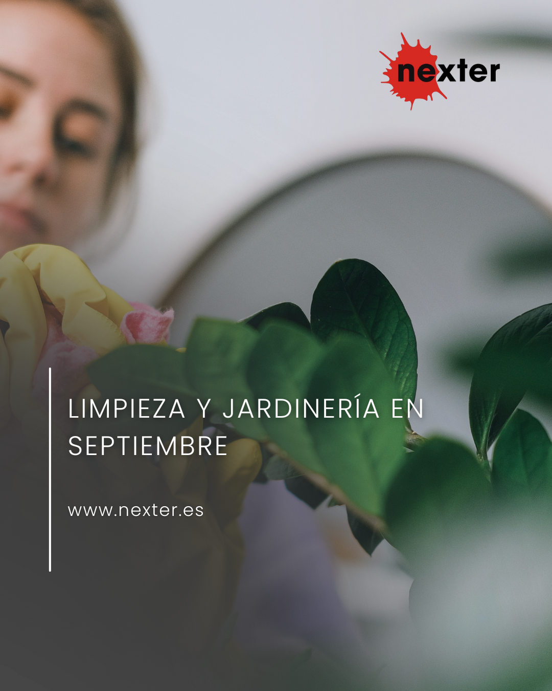 Limpieza y jardinería en septiembre: prepara tu hogar y jardín para el otoño