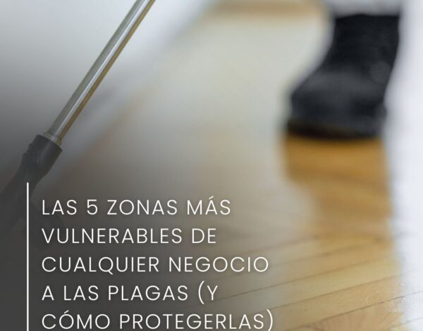 Las 5 zonas más vulnerables de cualquier negocio a las plagas (y cómo protegerlas)