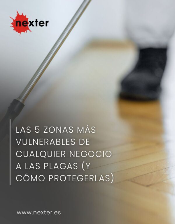 Las 5 zonas más vulnerables de cualquier negocio a las plagas (y cómo protegerlas)