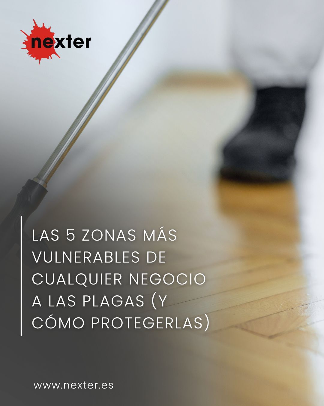 Las 5 zonas más vulnerables de cualquier negocio a las plagas (y cómo protegerlas)