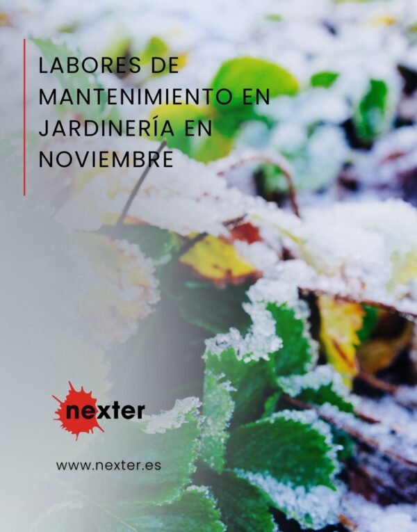 Labores de mantenimiento en jardinería en noviembre