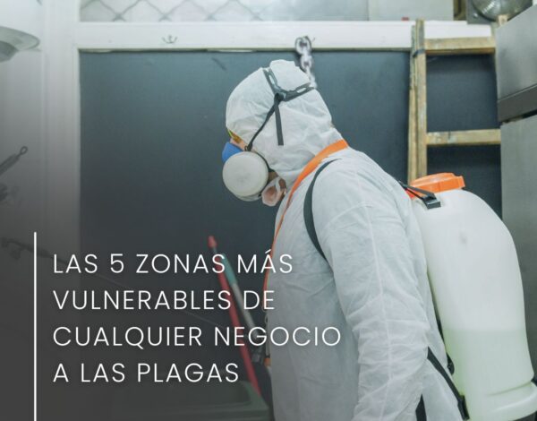 Las 5 zonas más vulnerables de cualquier negocio a las plagas
