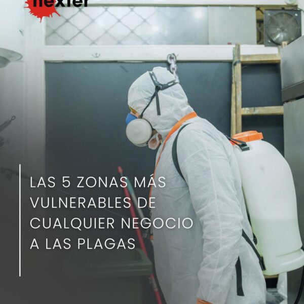 Las 5 zonas más vulnerables de cualquier negocio a las plagas