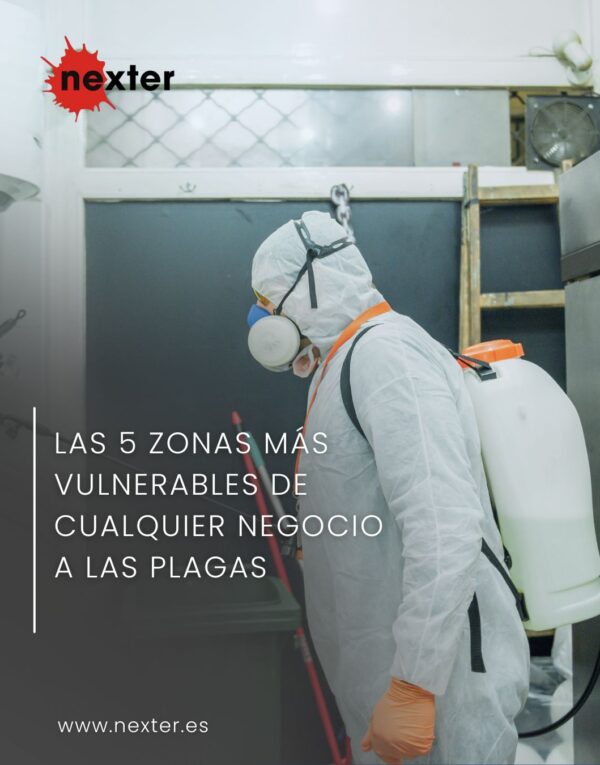 Las 5 zonas más vulnerables de cualquier negocio a las plagas