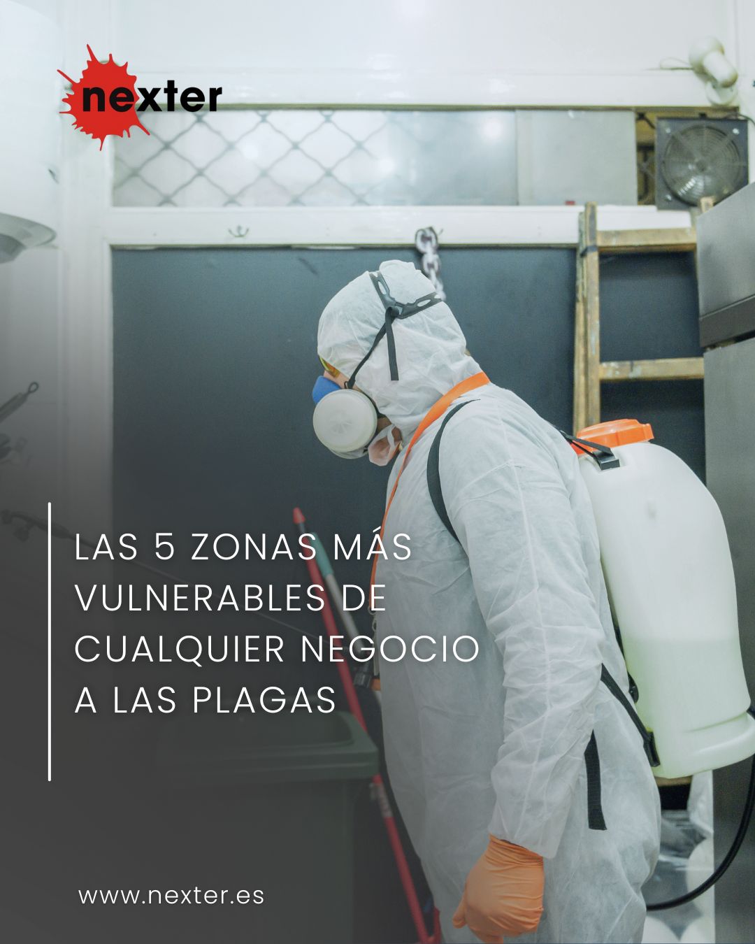 Las 5 zonas más vulnerables de cualquier negocio a las plagas