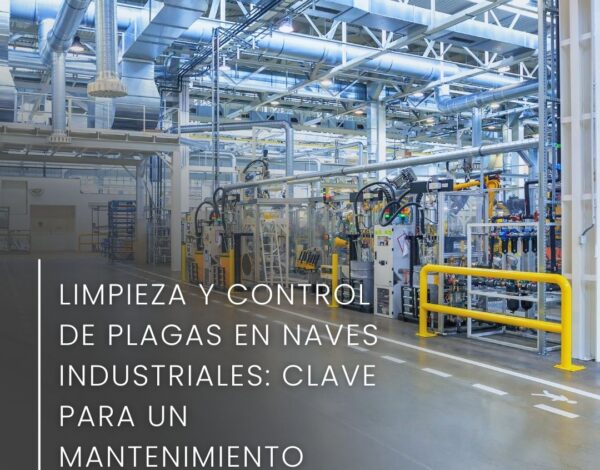 Limpieza y control de plagas en naves industriales: clave para un mantenimiento óptimo y seguro