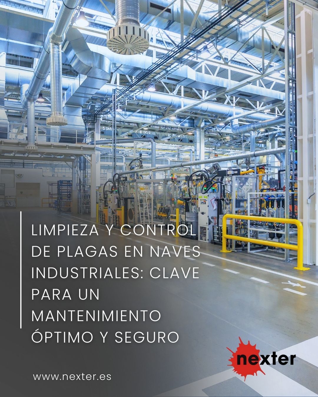 Limpieza y control de plagas en naves industriales: clave para un mantenimiento óptimo y seguro