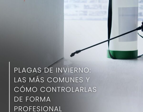 Plagas de invierno: las más comunes y cómo controlarlas de forma profesional