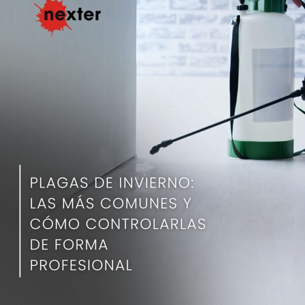Plagas de invierno: las más comunes y cómo controlarlas de forma profesional