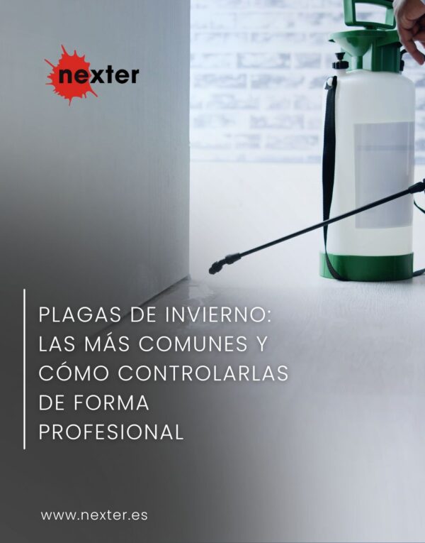 Plagas de invierno: las más comunes y cómo controlarlas de forma profesional