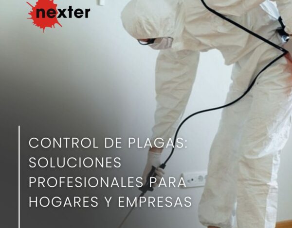 Control de plagas en Ciudad Real: soluciones profesionales para hogares y empresas