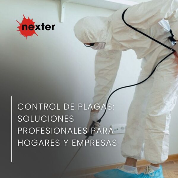 Control de plagas en Ciudad Real: soluciones profesionales para hogares y empresas