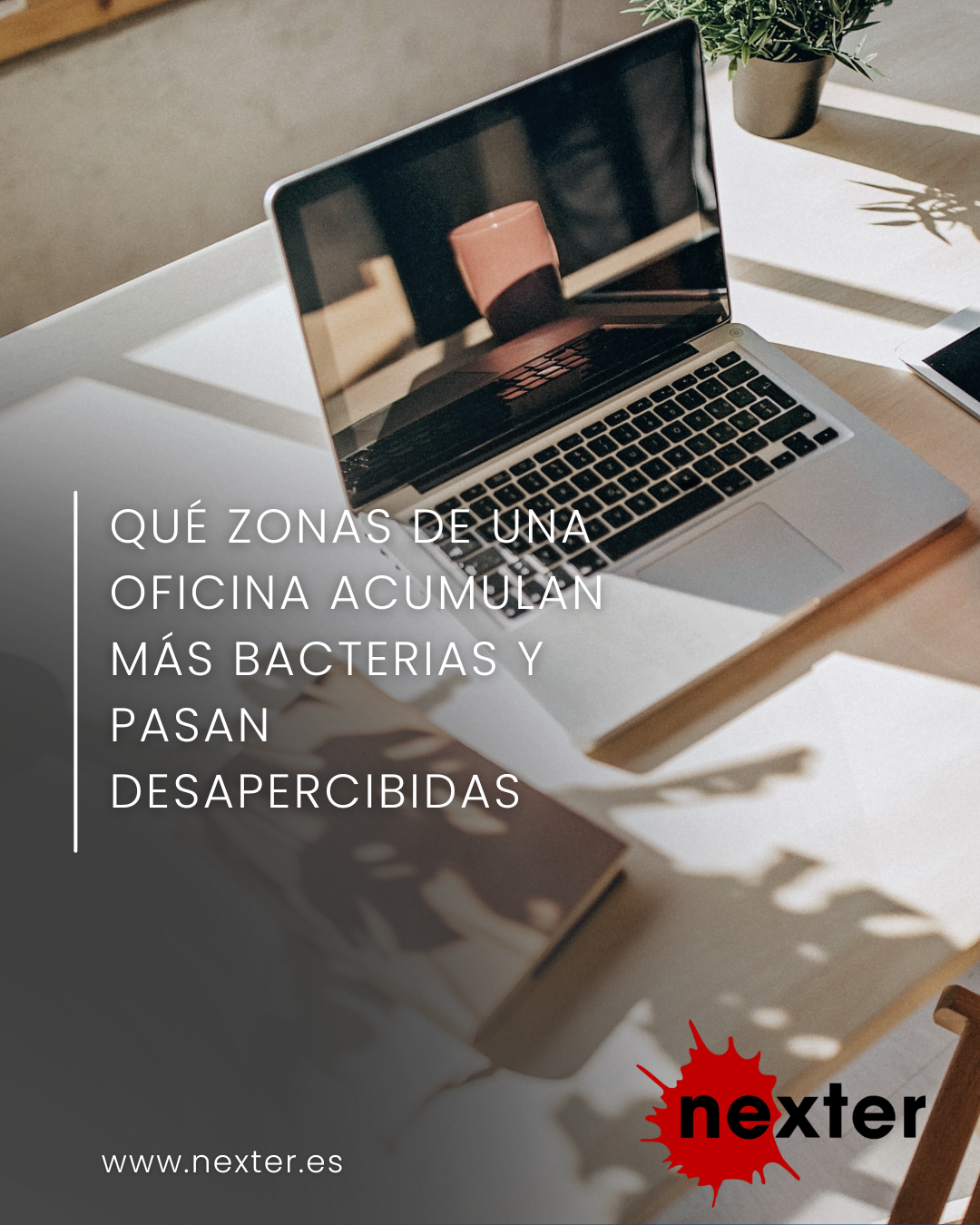 Qué zonas de una oficina acumulan más bacterias y pasan desapercibidas