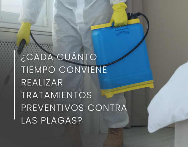 ¿Cada cuánto tiempo conviene realizar tratamientos preventivos contra las plagas?