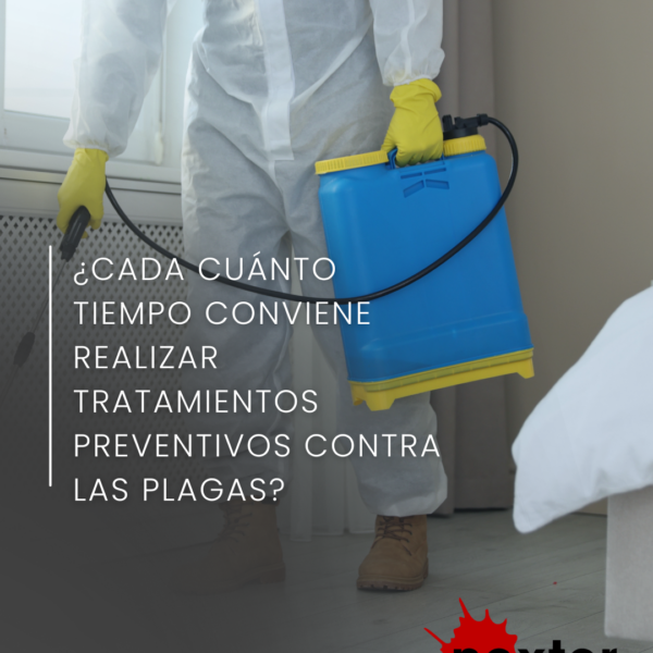 ¿Cada cuánto tiempo conviene realizar tratamientos preventivos contra las plagas?