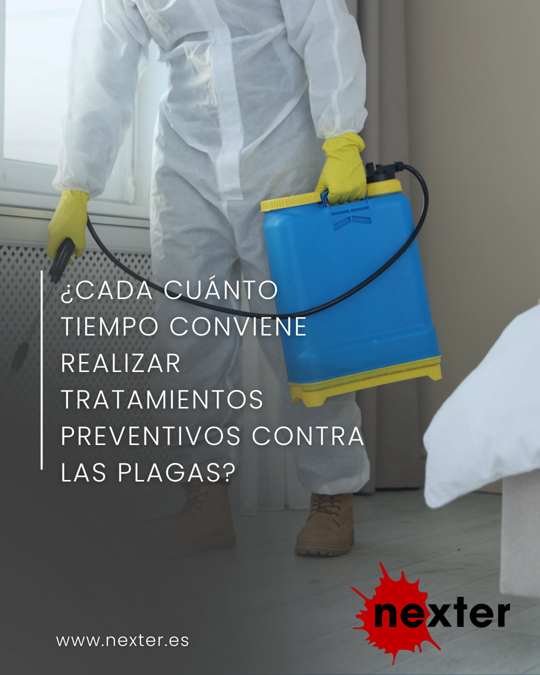 ¿Cada cuánto tiempo conviene realizar tratamientos preventivos contra las plagas?